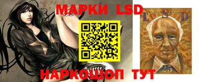 альфа пвп Аргун